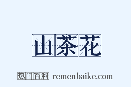 山茶花是什么意思的图片
